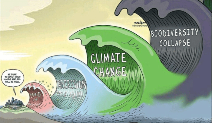 Cartoon, waves showing recession, climate change and biodiversity collapse