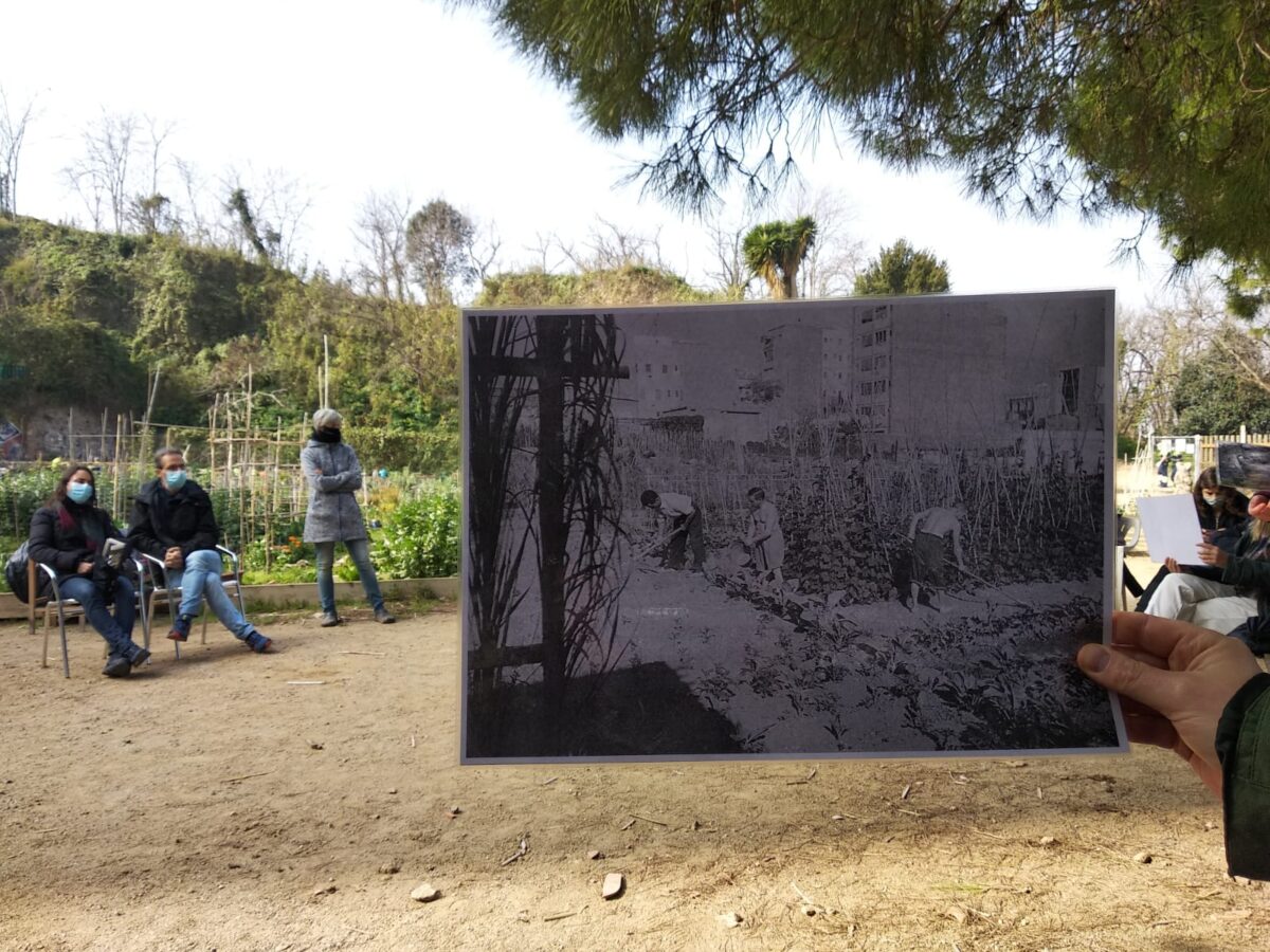 Urban gardens then and now, Barcelona