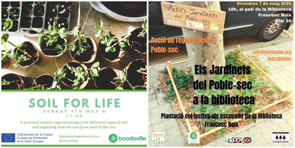 Talleres de plantas Barcelona