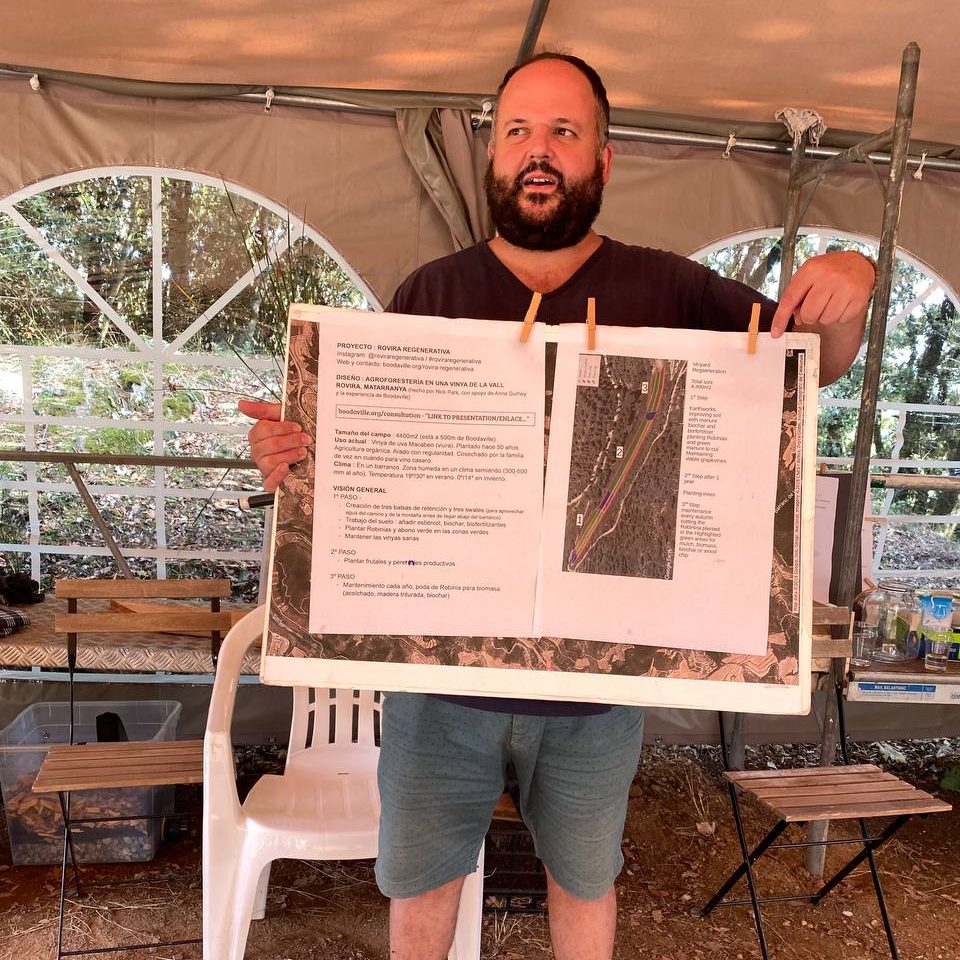 Diseño agroforestal para viñedo