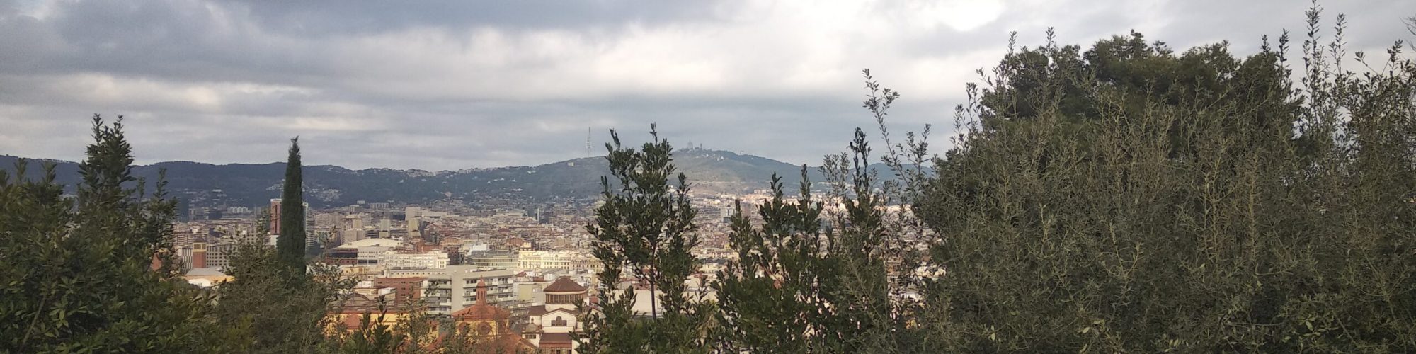 Barcelona from Montjuic