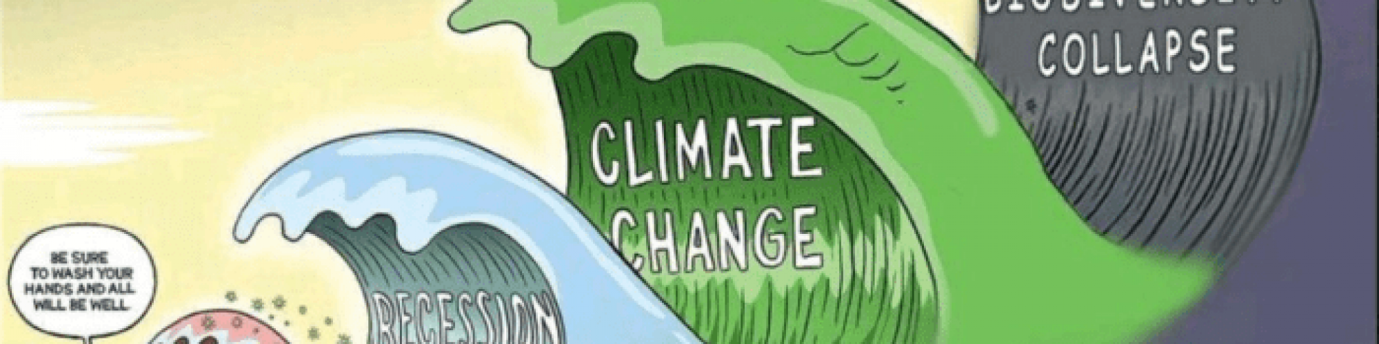 Cartoon, waves showing recession, climate change and biodiversity collapse