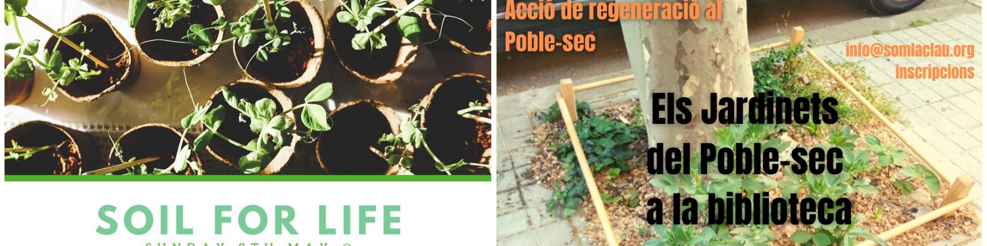 Talleres de plantas Barcelona